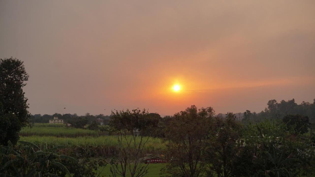 Sun N Soil Backpacker Hostel Lachhiwala Extérieur photo