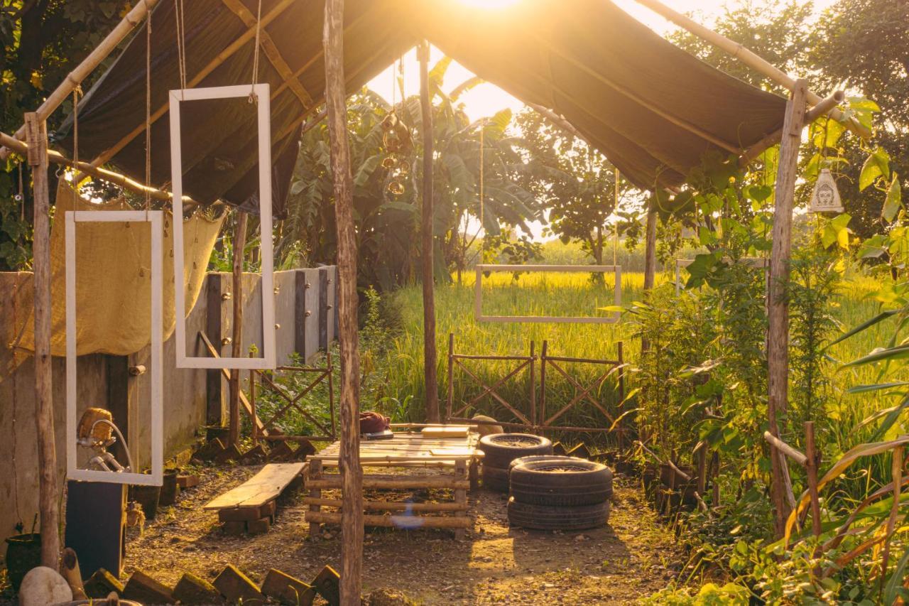 Sun N Soil Backpacker Hostel Lachhiwala Extérieur photo