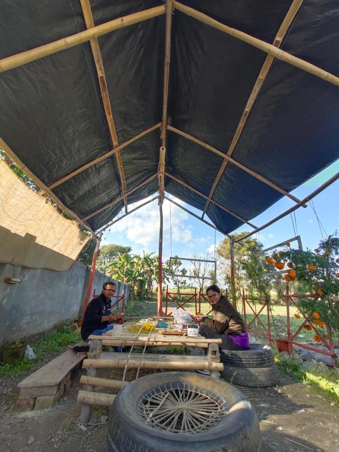 Sun N Soil Backpacker Hostel Lachhiwala Extérieur photo